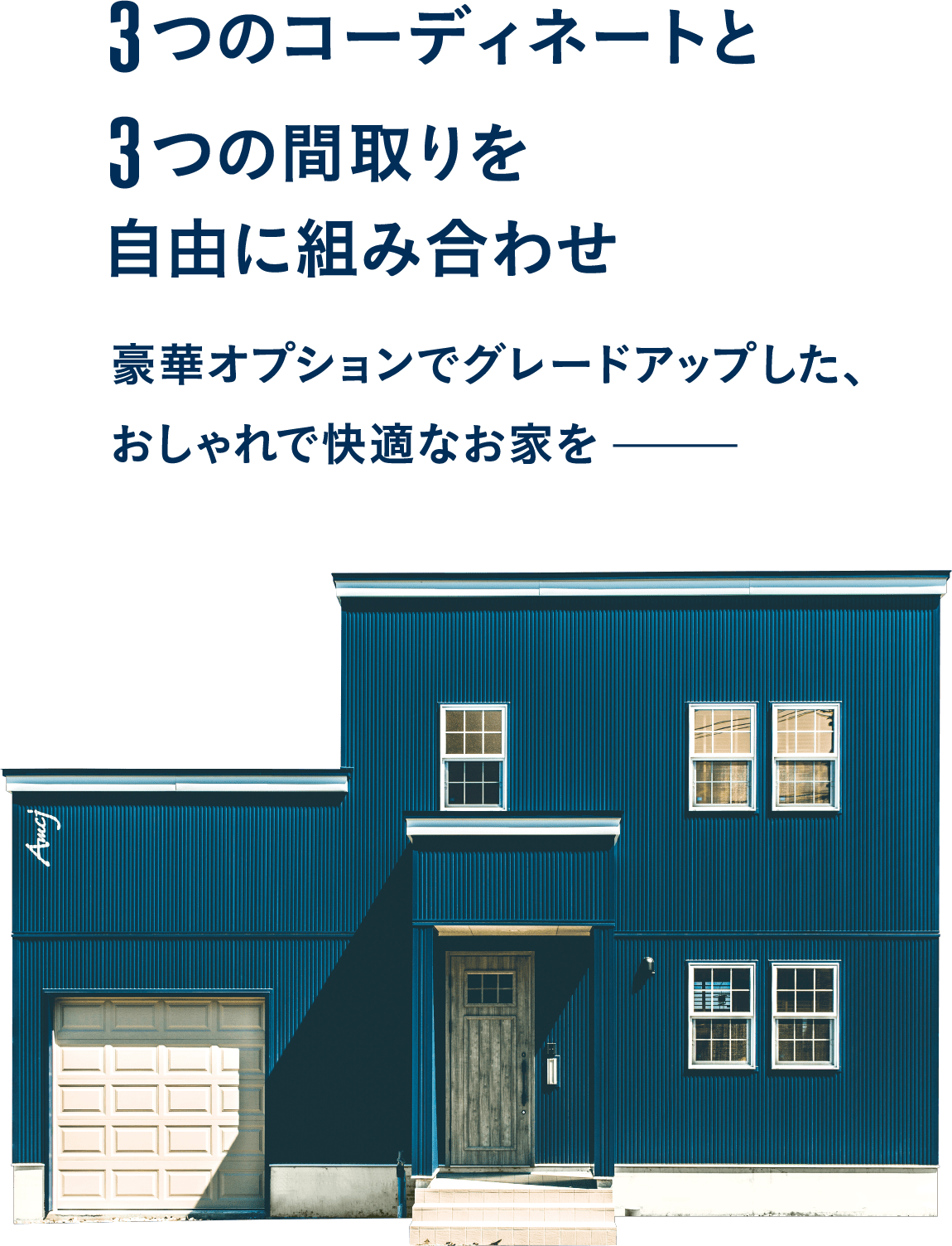 3つのコーディネートと3つの間取りを自由に組み合わせ 豪華オプションでグレードアップした、おしゃれで快適なお家を