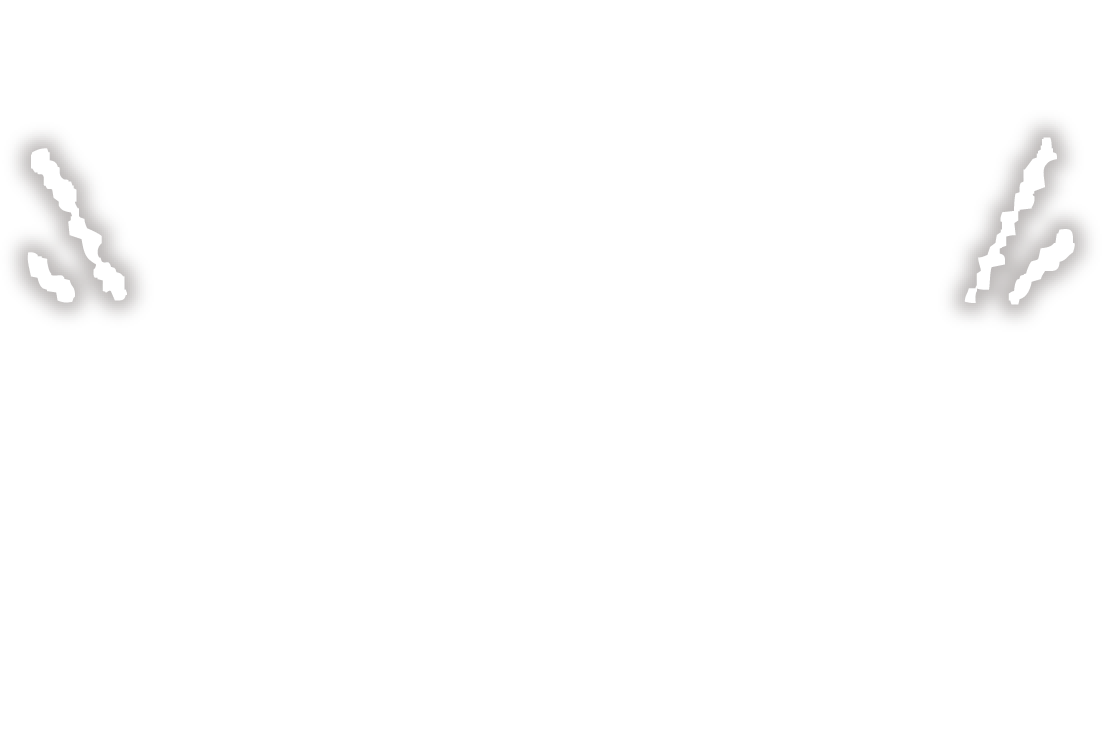 アメカジ工務店の家がお得に建てられるコンプリートプラン アメカジ工務店で特に人気の間取りに、おすすめのコーディネートをプラス。さらにハイグレードなオプションもつけて特別価格で販売します。