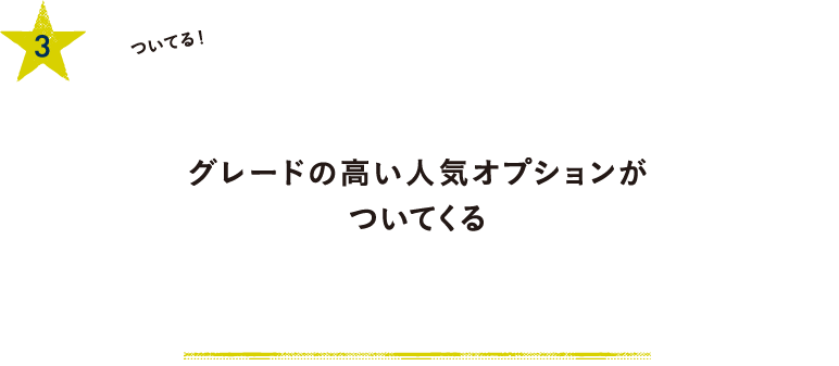 3.ついてる！100万円分のオプション／グレードの高い人気オプションがついてくる／標準価格そのままで豪華なオプション付き