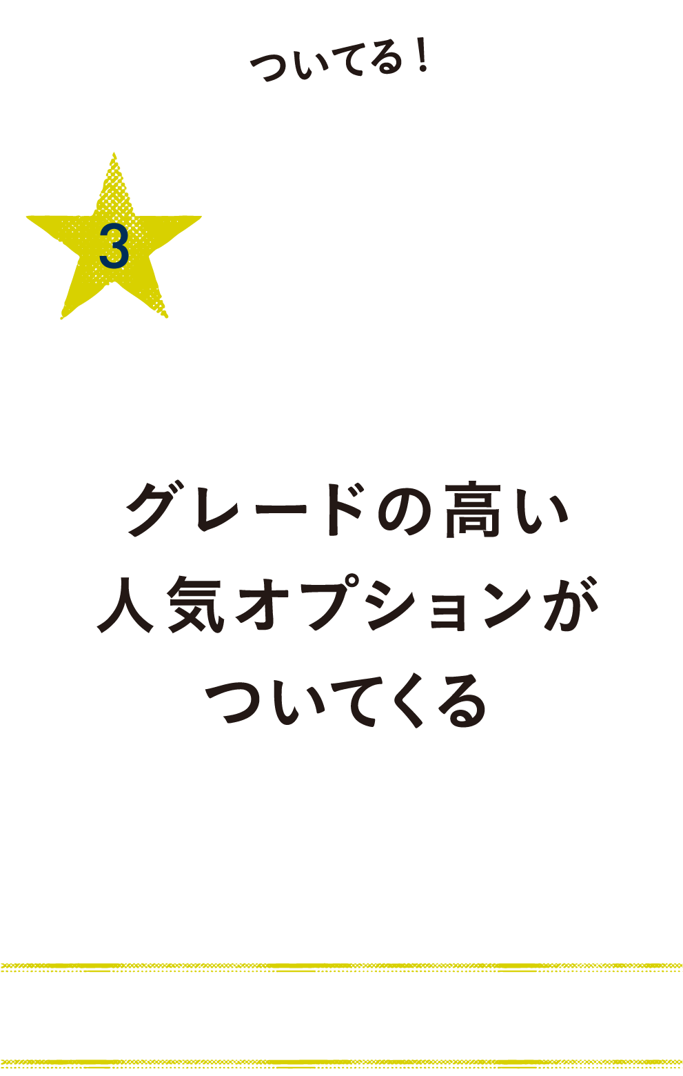 3.ついてる！100万円分のオプション／グレードの高い人気オプションがついてくる／標準価格そのままで豪華なオプション付き