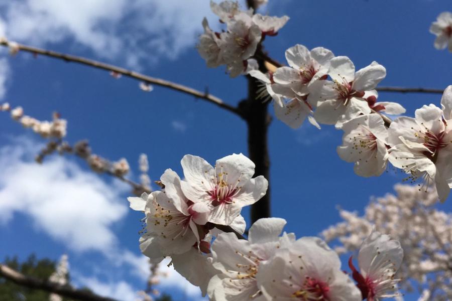 季節外れですが...