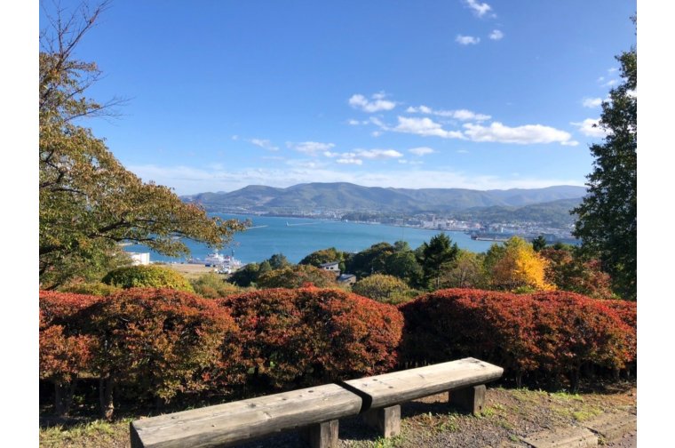 最近の休日🍁🍂